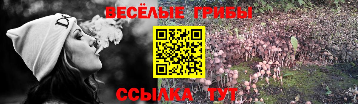 Кудымкар  Псилоцибиновые грибы ЛСД  Вход с VPN 